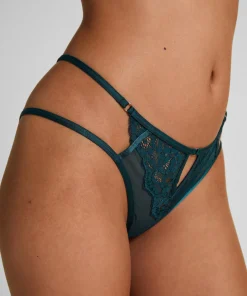 Brazilian Cinnamon - Blau