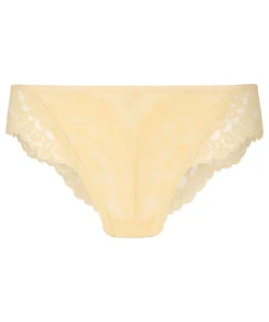 Brazilian Daisy - Gelb