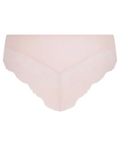 Brazilian Teddy - Rosa