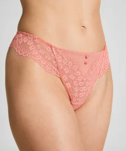 String Daisy - Rosa