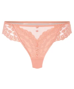 String Daisy - Rosa